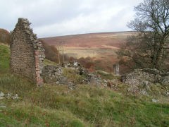 
Graig Ddu Farm, October 2009